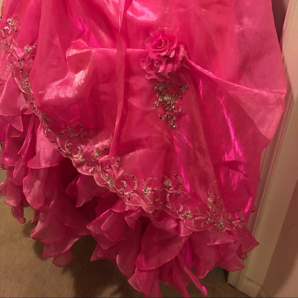 Quinceañera/Prom Dress - Picture 4 of 8